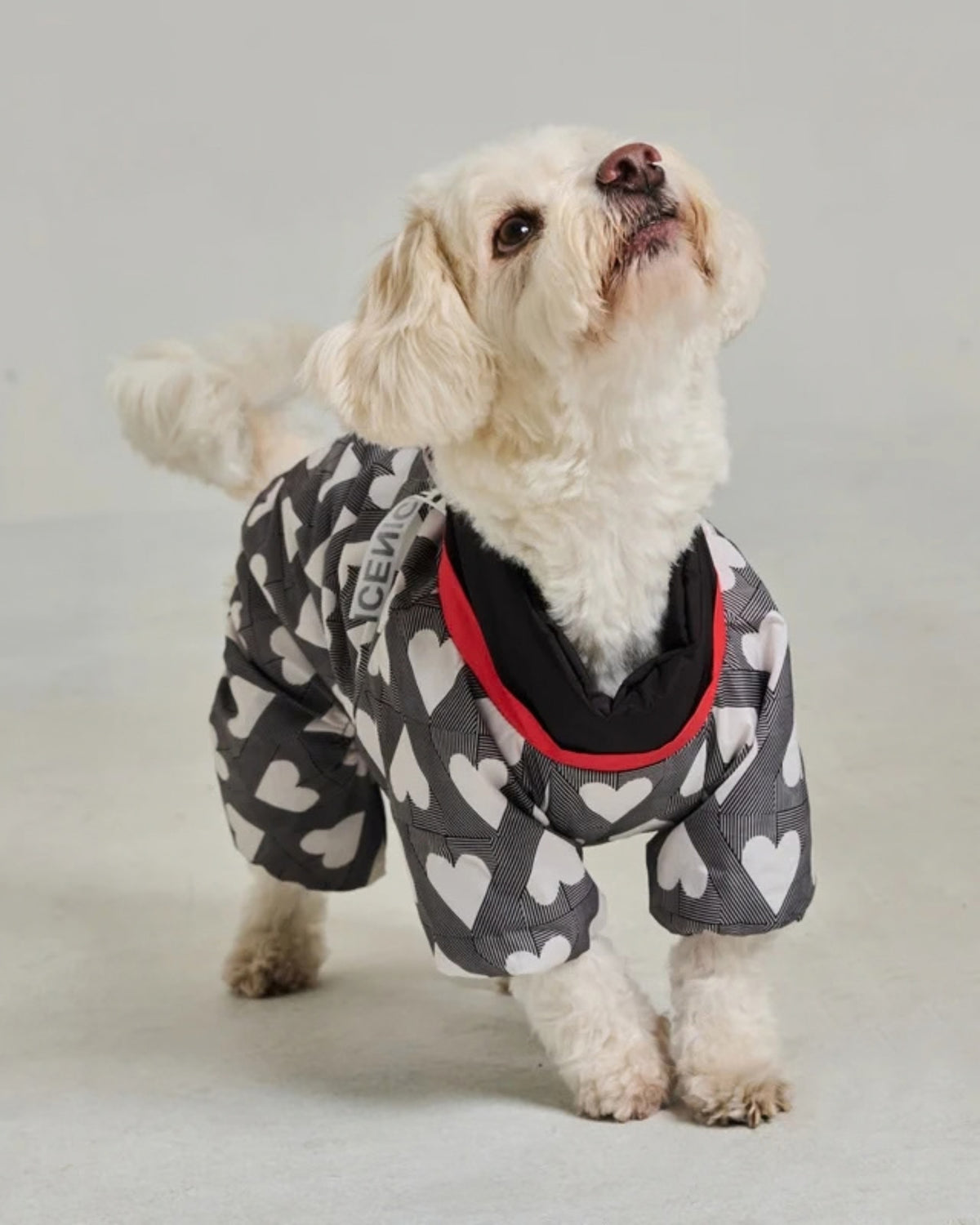 Su İtici Köpek Tulumu Godoist Puffer Jumpsuit Kate