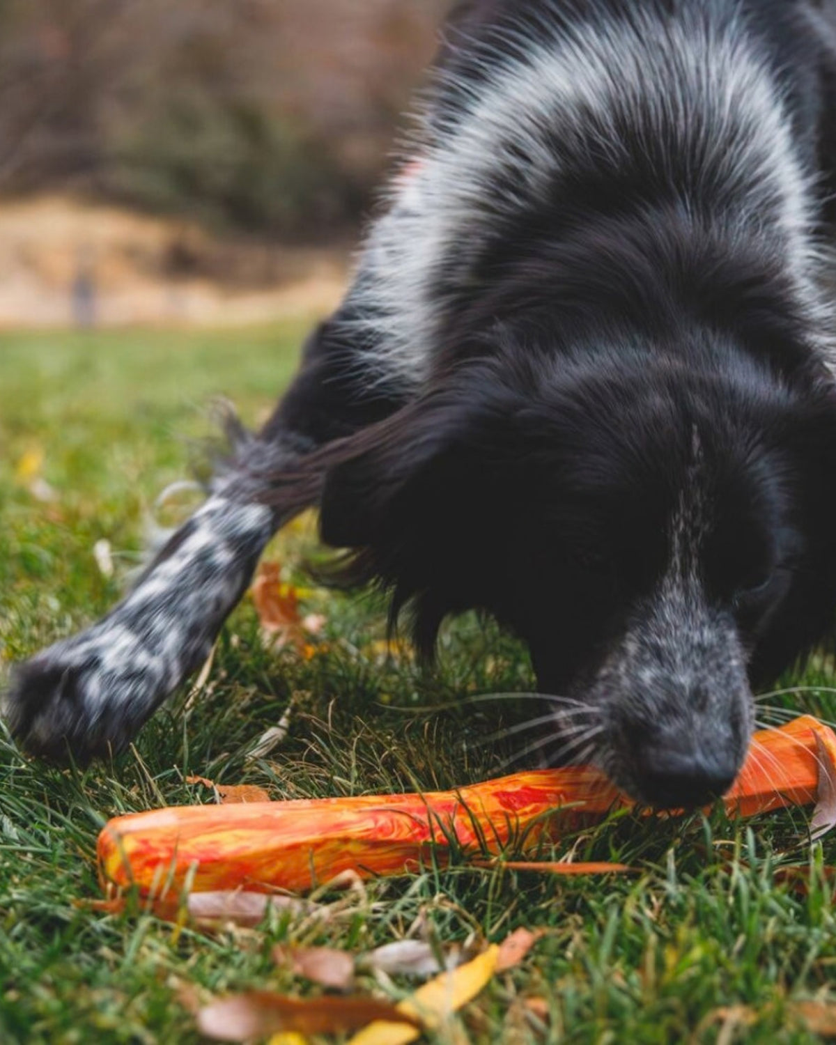 Suda Yüzen Çubuk Köpek Oyuncağı Ruffwear Gnawt a Stick