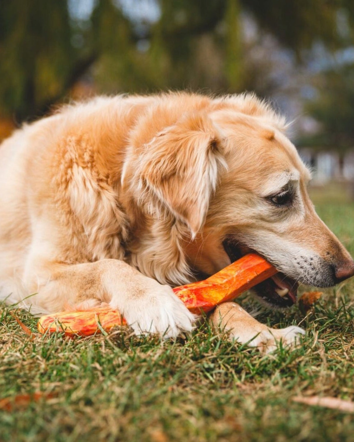Suda Yüzen Çubuk Köpek Oyuncağı Ruffwear Gnawt a Stick