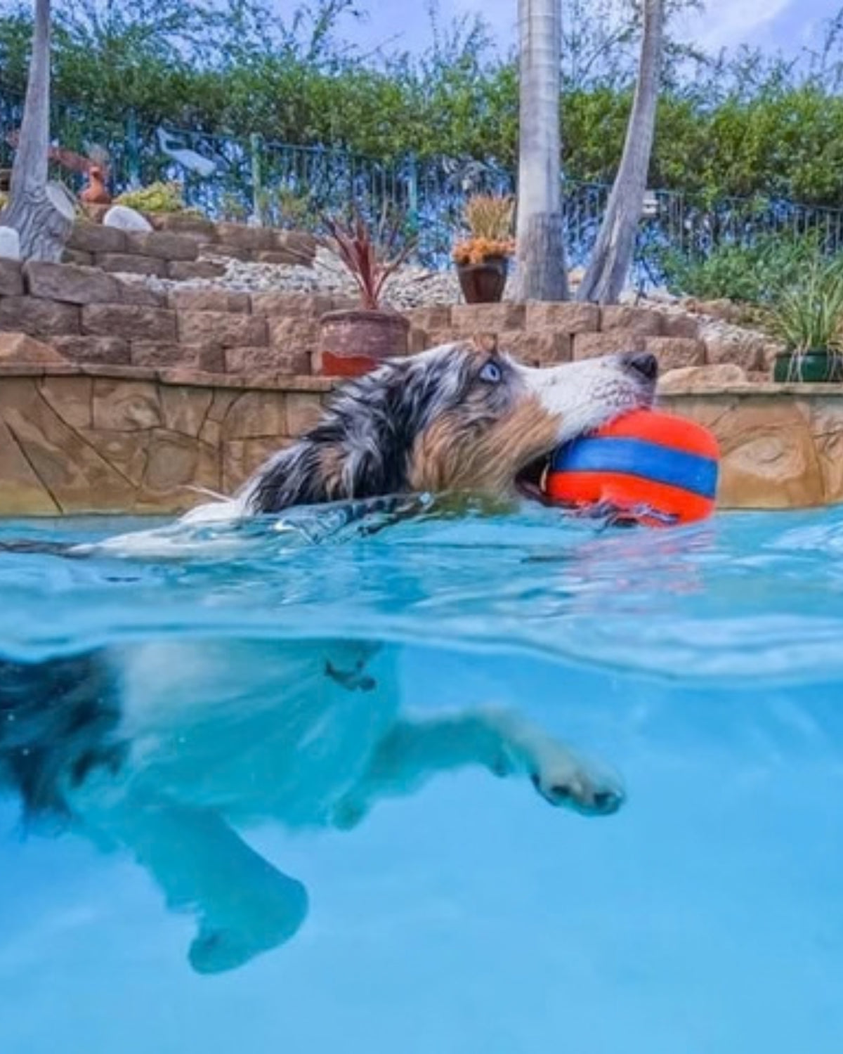 Suda Yüzen Tekerlek Formlu Köpek Oyuncağı Chuckit Amphibious Roller