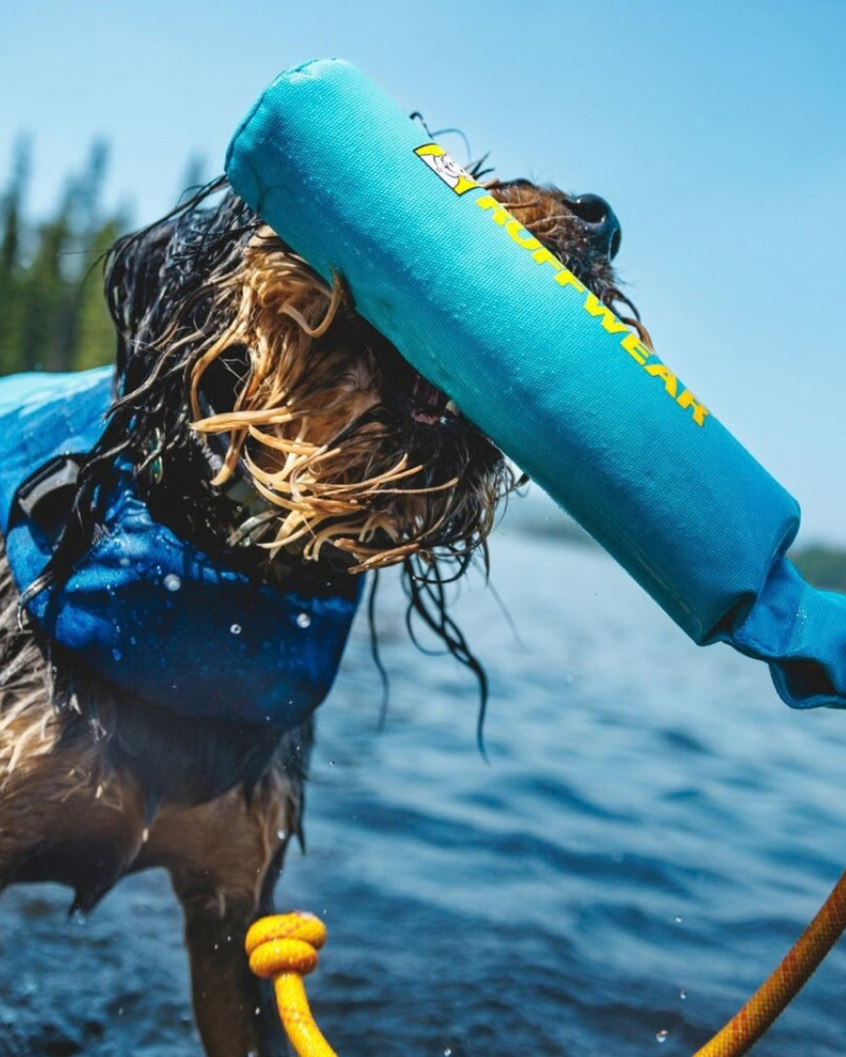 Suda Yüzen Köpek Oyuncağı Ruffwear Lunker