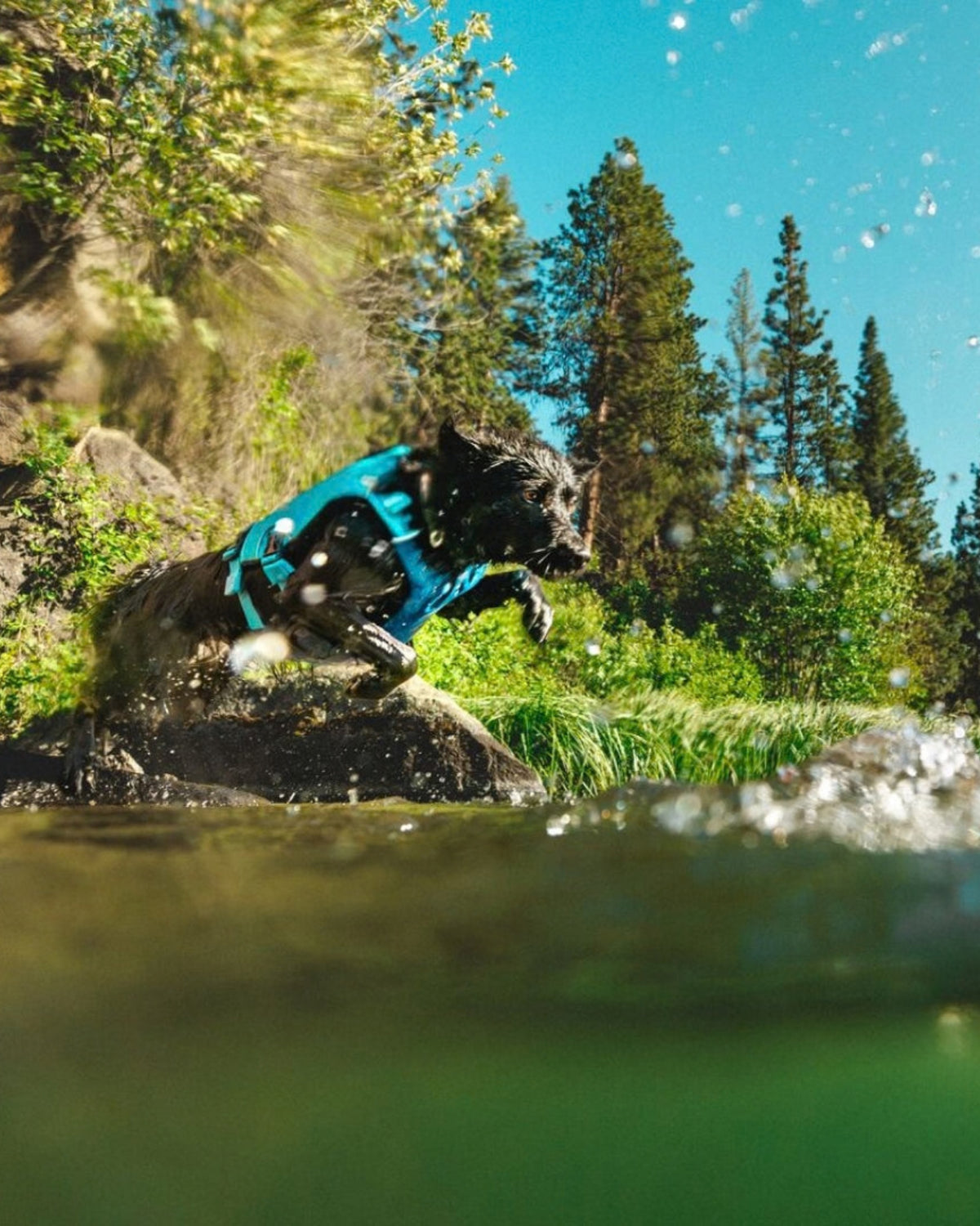 Suda Yüzen Köpek Oyuncağı Ruffwear Lunker