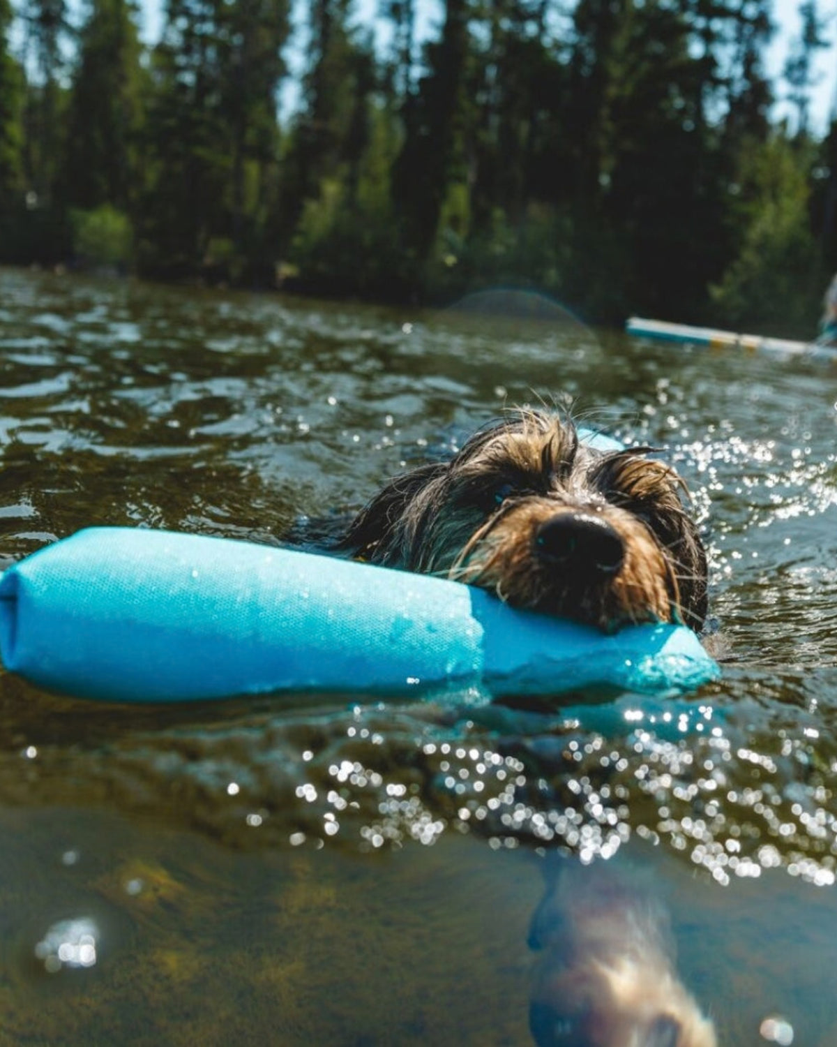 Suda Yüzen Köpek Oyuncağı Ruffwear Lunker