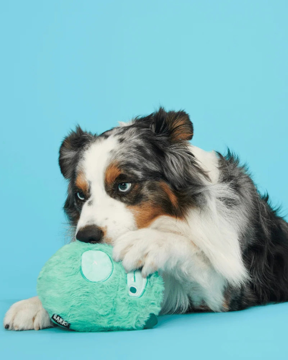 Sürpriz İçerikli Sert Çiğneyici Köpek Oyuncağı BARK Aurora Beast
