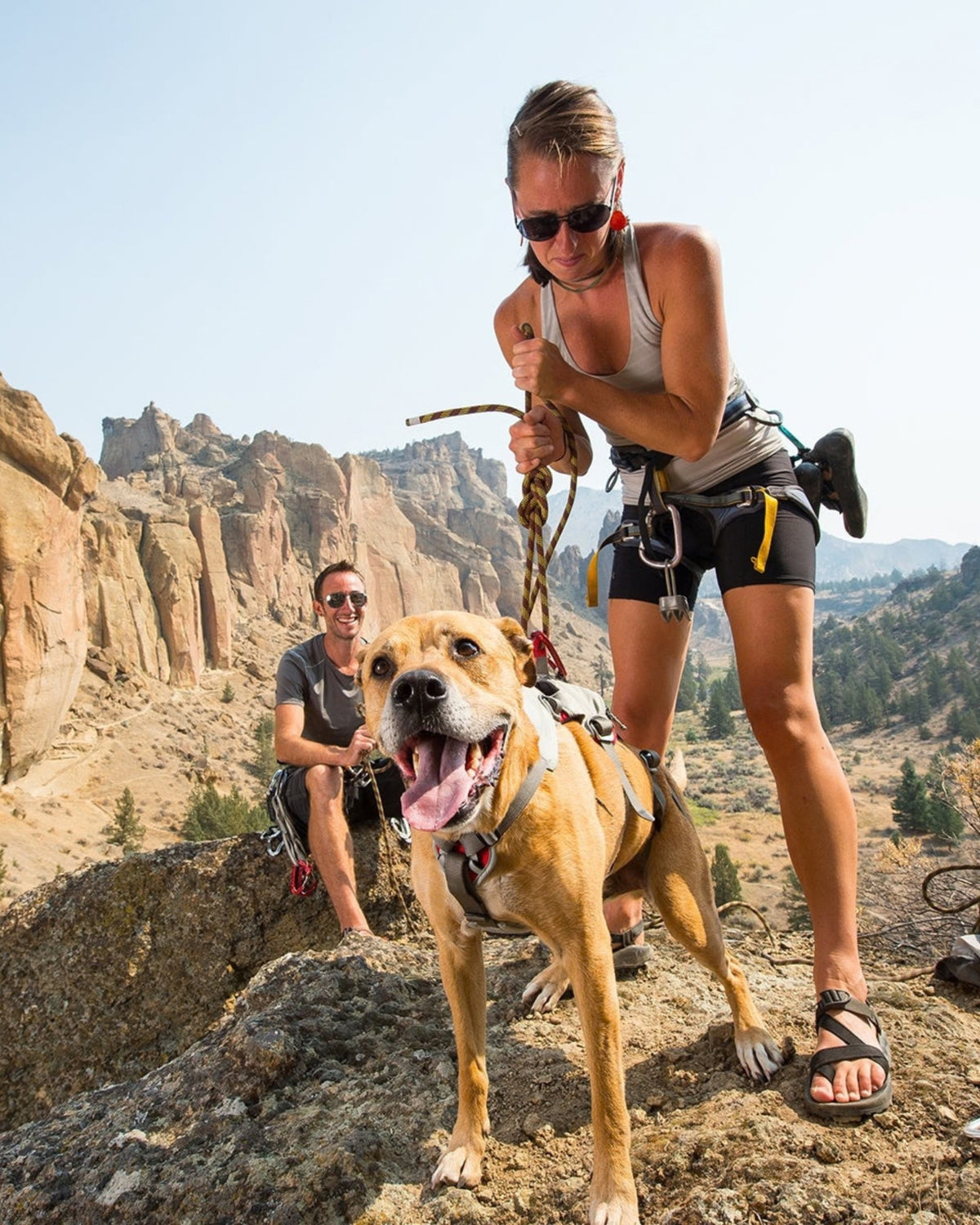 Tam Vücut Köpek Kaldırma Göğüs Tasması Ruffwear Doubleback Gri