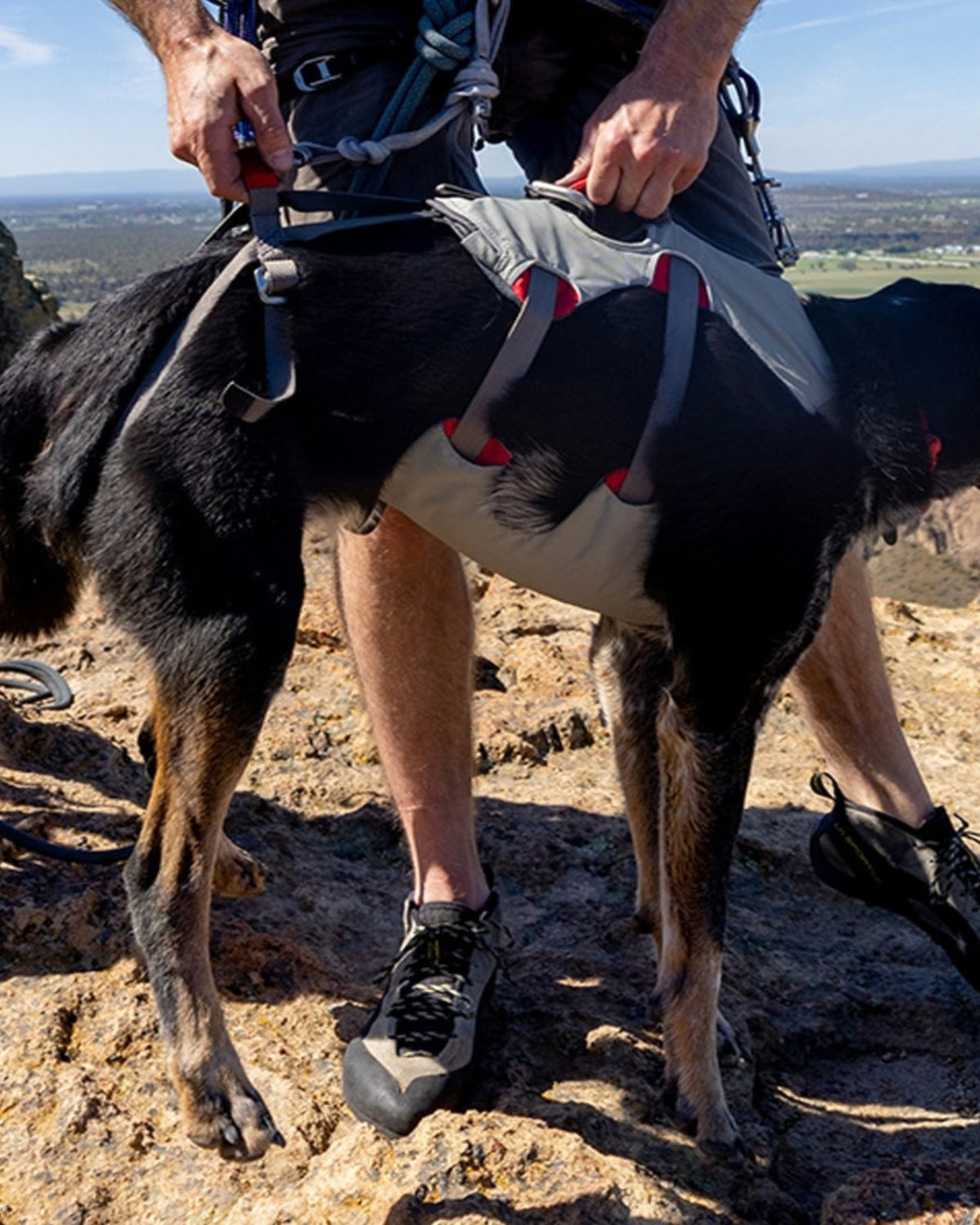 Tam Vücut Köpek Kaldırma Göğüs Tasması Ruffwear Doubleback Gri