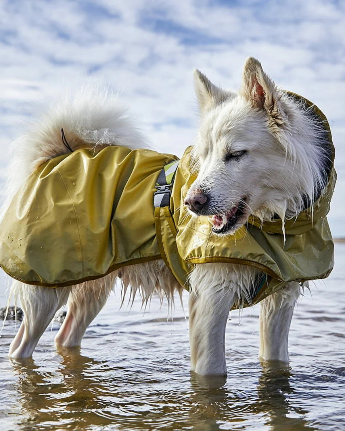 Tam Reflektörlü Köpek Yağmurluğu Hurtta Mudventure Reflective Coat