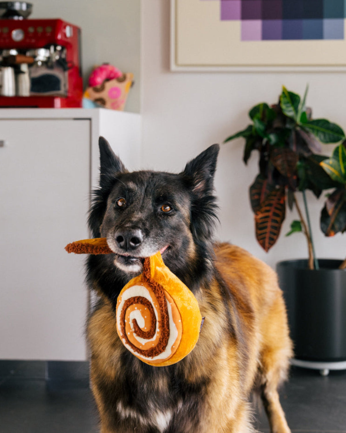 Tarçınlı Çörek Figürlü Hışırtılı Sesli Peluş Köpek Oyuncağı P.L.A.Y. Pup Cup Cafe Cinna-bone