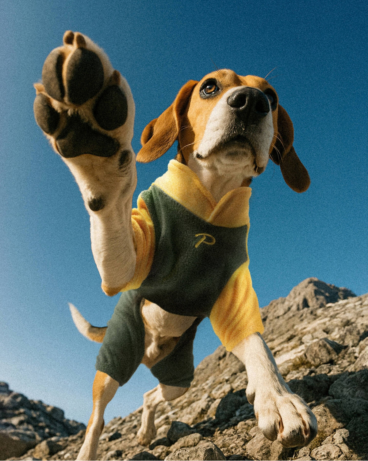 Tasma Halkalı Sarı Polar Köpek Tulumu Puppia Alpine Fleece Suit