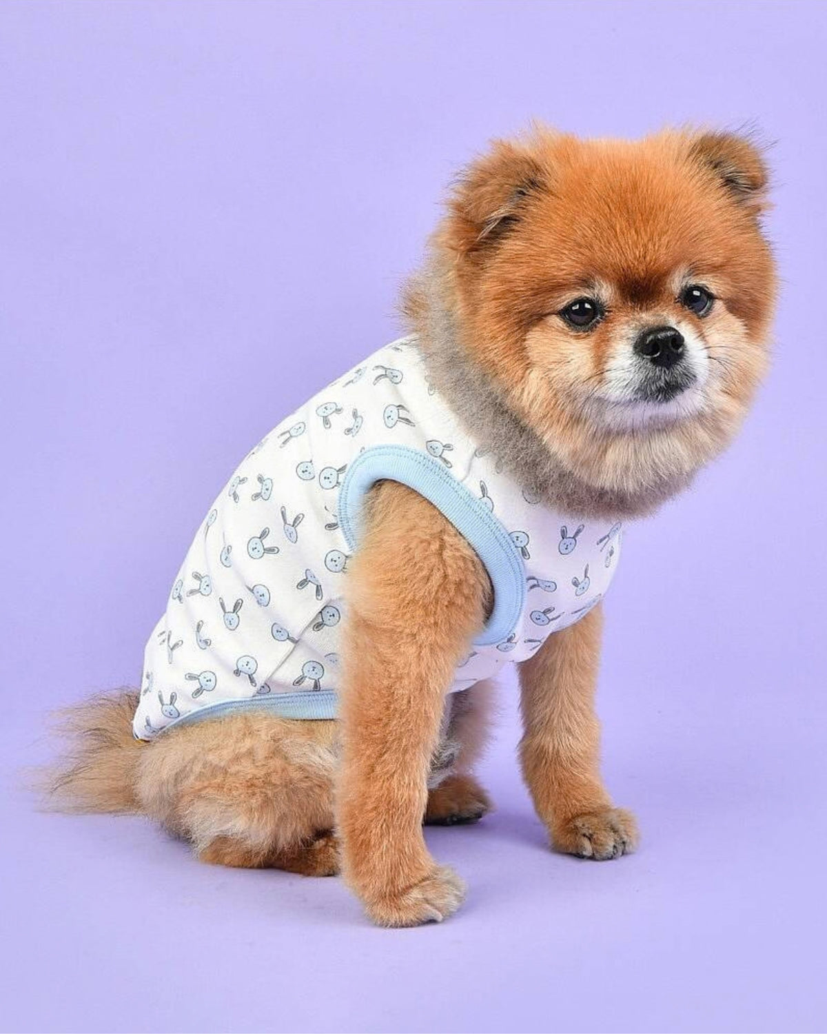 Tavşan Desenli Pamuklu Kolsuz Gök Mavisi Köpek Tişörtü Olchi Rabbit Pattern T Shirt