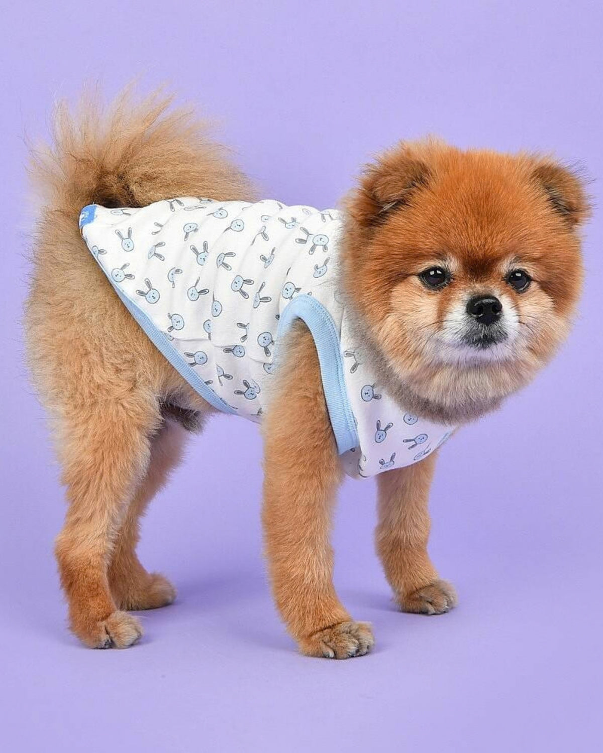 Tavşan Desenli Pamuklu Kolsuz Gök Mavisi Köpek Tişörtü Olchi Rabbit Pattern T Shirt