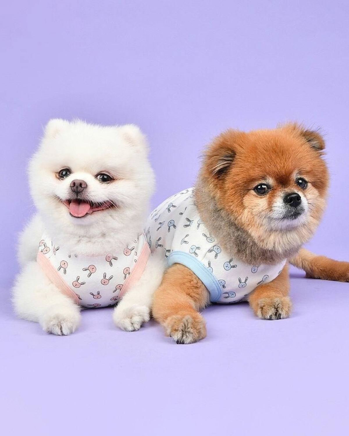 Tavşan Desenli Pamuklu Kolsuz Gök Mavisi Köpek Tişörtü Olchi Rabbit Pattern T Shirt