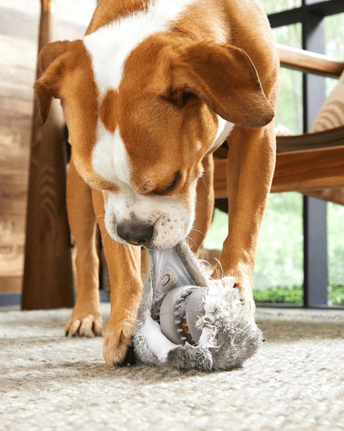 Tavşan Figürlü Ödül Dağıtan 2'si 1 Arada Sert Çiğneyici Köpek Oyuncağı BARK Hare Raiser