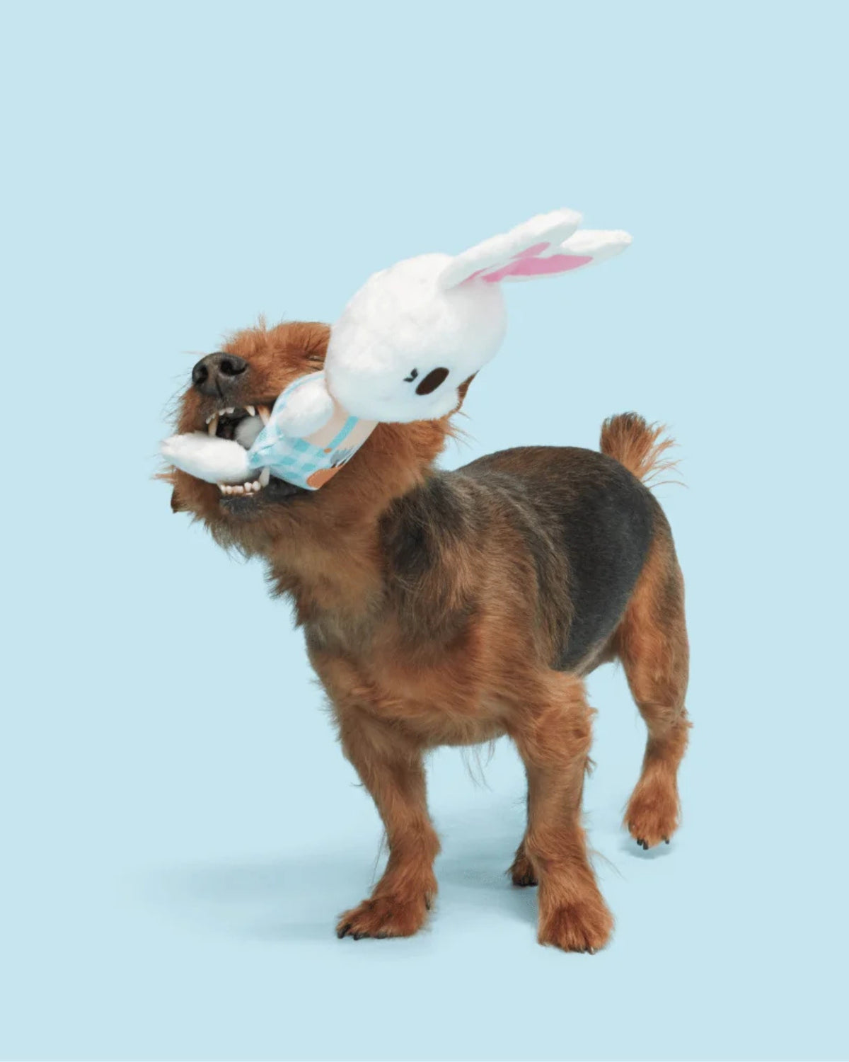 Tavşan Figürlü Peluş Köpek Oyuncağı BARK Green Thumb Bun