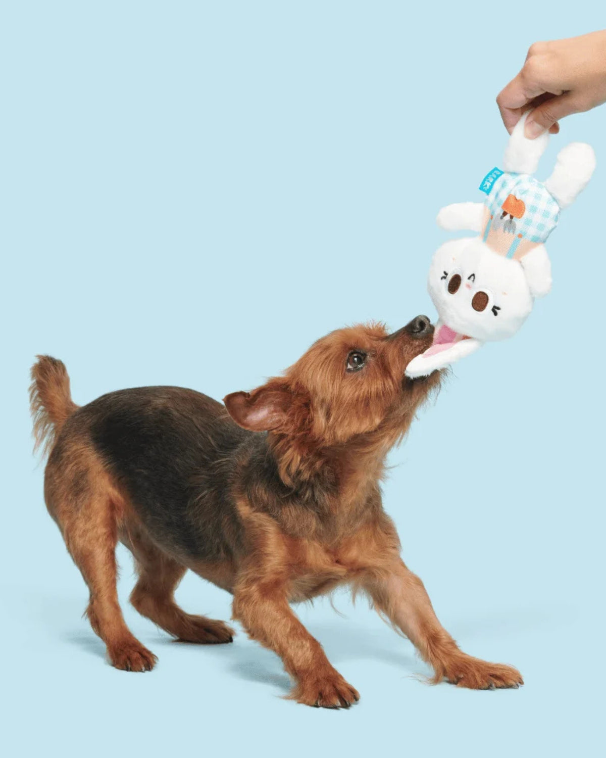 Tavşan Figürlü Peluş Köpek Oyuncağı BARK Green Thumb Bun