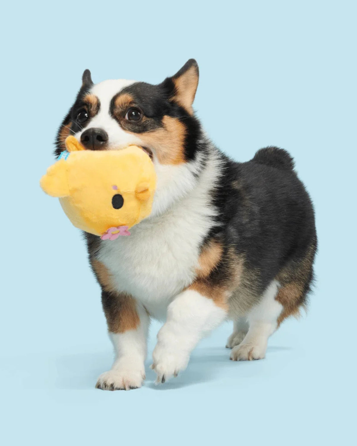 Tavuk Figürlü Peluş Köpek Oyuncağı BARK Lil' Hennifer
