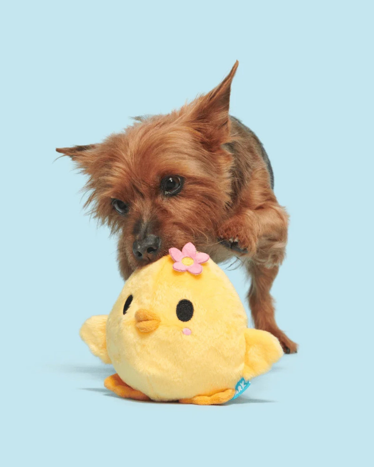 Tavuk Figürlü Peluş Köpek Oyuncağı BARK Lil' Hennifer