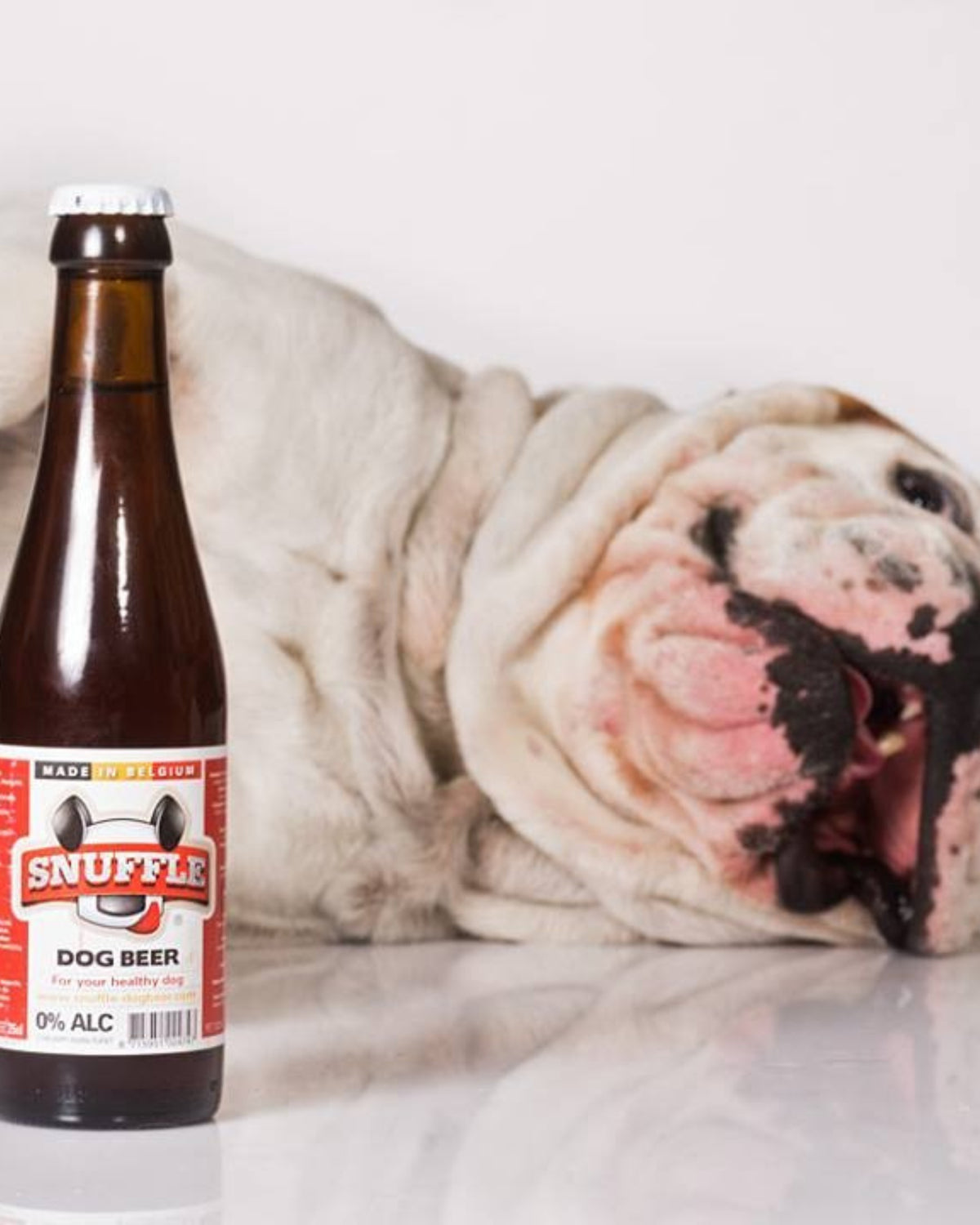 Tavuklu ve Sığır Etli Alkolsüz Köpek Birası Snuffle Cam Şişe 250ml