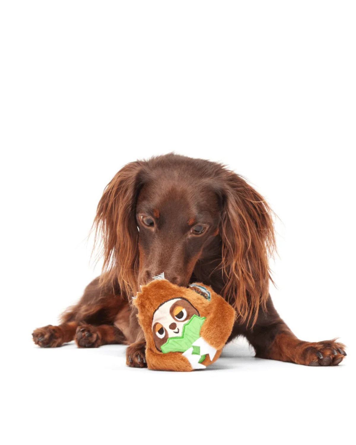 Tembel Hayvan Figürlü 2'si 1 Arada Sert Çiğneyici Köpek Oyuncağı BARK Sonny the Sloth