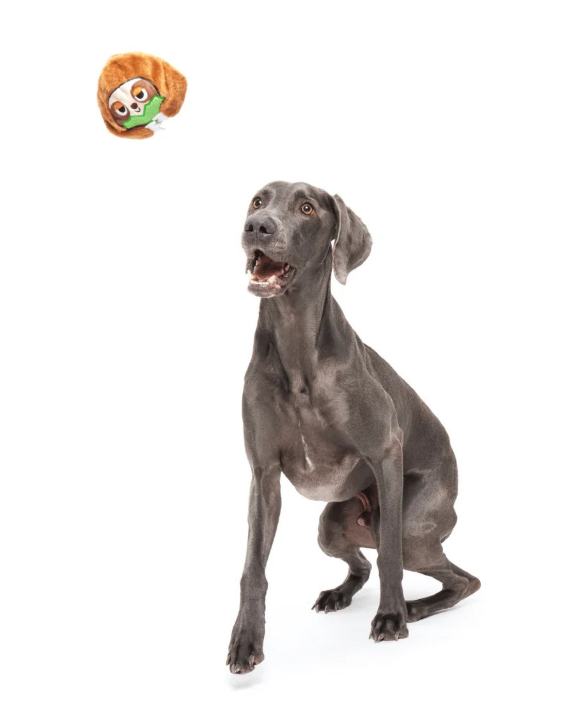 Tembel Hayvan Figürlü 2'si 1 Arada Sert Çiğneyici Köpek Oyuncağı BARK Sonny the Sloth