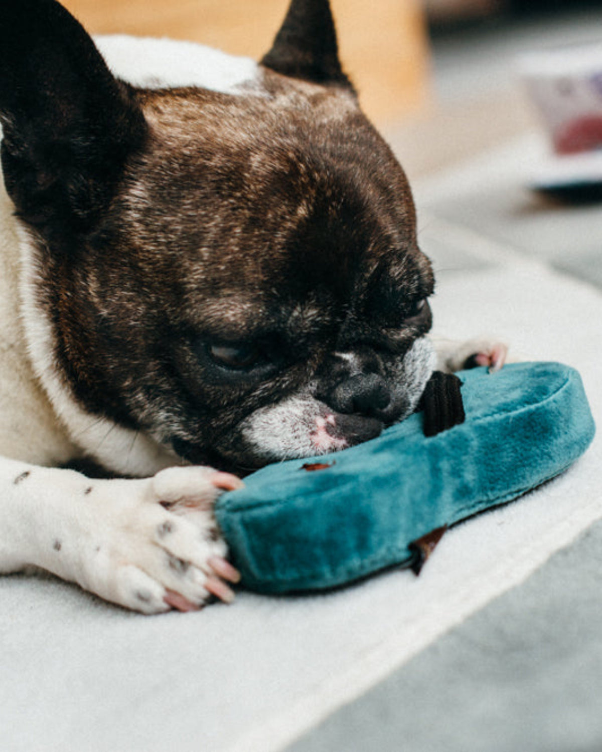 Terlik Figürlü Sesli Yeşil Peluş Köpek Oyuncağı P.L.A.Y. Globetrotter Pucci’s Sandal