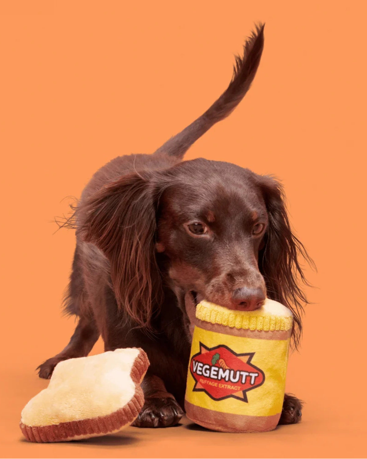 Tost ve Vegemite Figürlü 2'li Peluş Köpek Oyuncak Seti BARK Vegemutt Toast