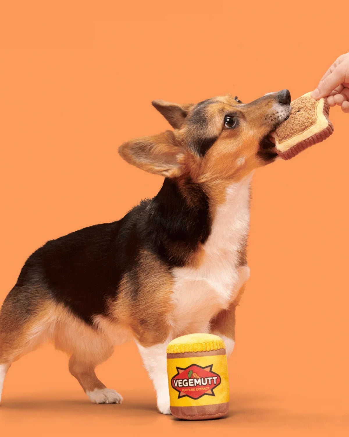 Tost ve Vegemite Figürlü 2'li Peluş Köpek Oyuncak Seti BARK Vegemutt Toast