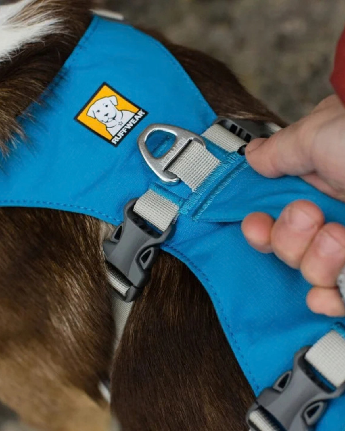 Tutamaklı Hafif Çok Amaçlı Köpek Göğüs Tasması Ruffwear Flagline