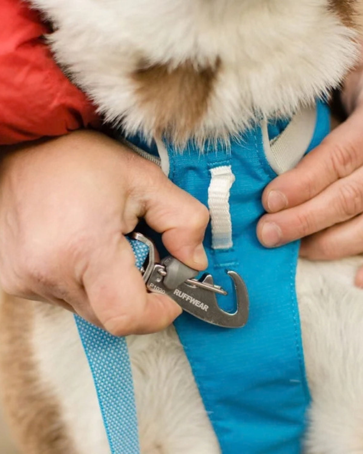 Tutamaklı Hafif Çok Amaçlı Köpek Göğüs Tasması Ruffwear Flagline