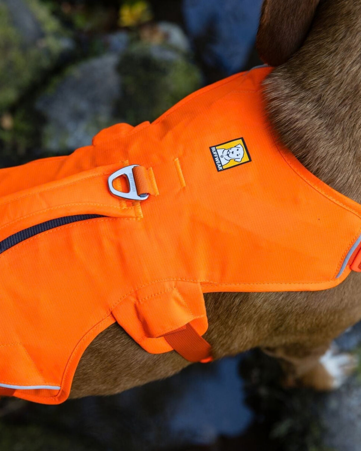 Tutmalı Köpek Göğüs Tasması Ruffwear Web Master