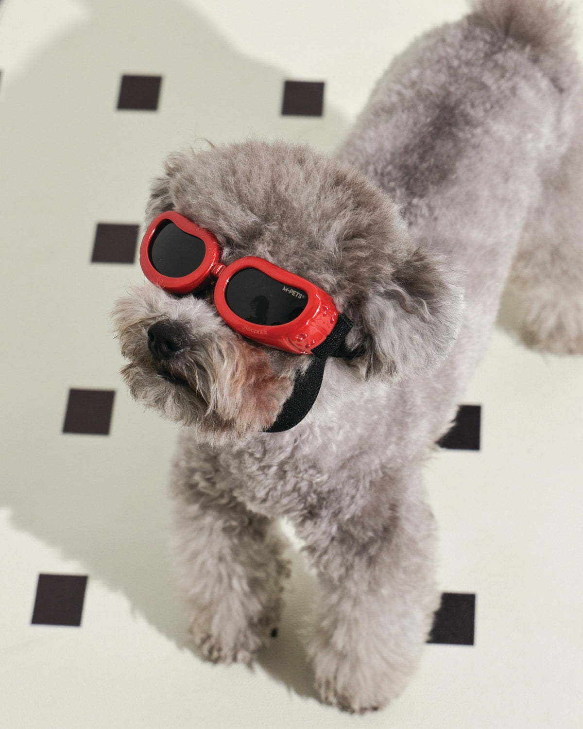 UV Korumalı Köpek Güneş Gözlüğü Kırmızı M-Pets Sunny Goggles Daytrip