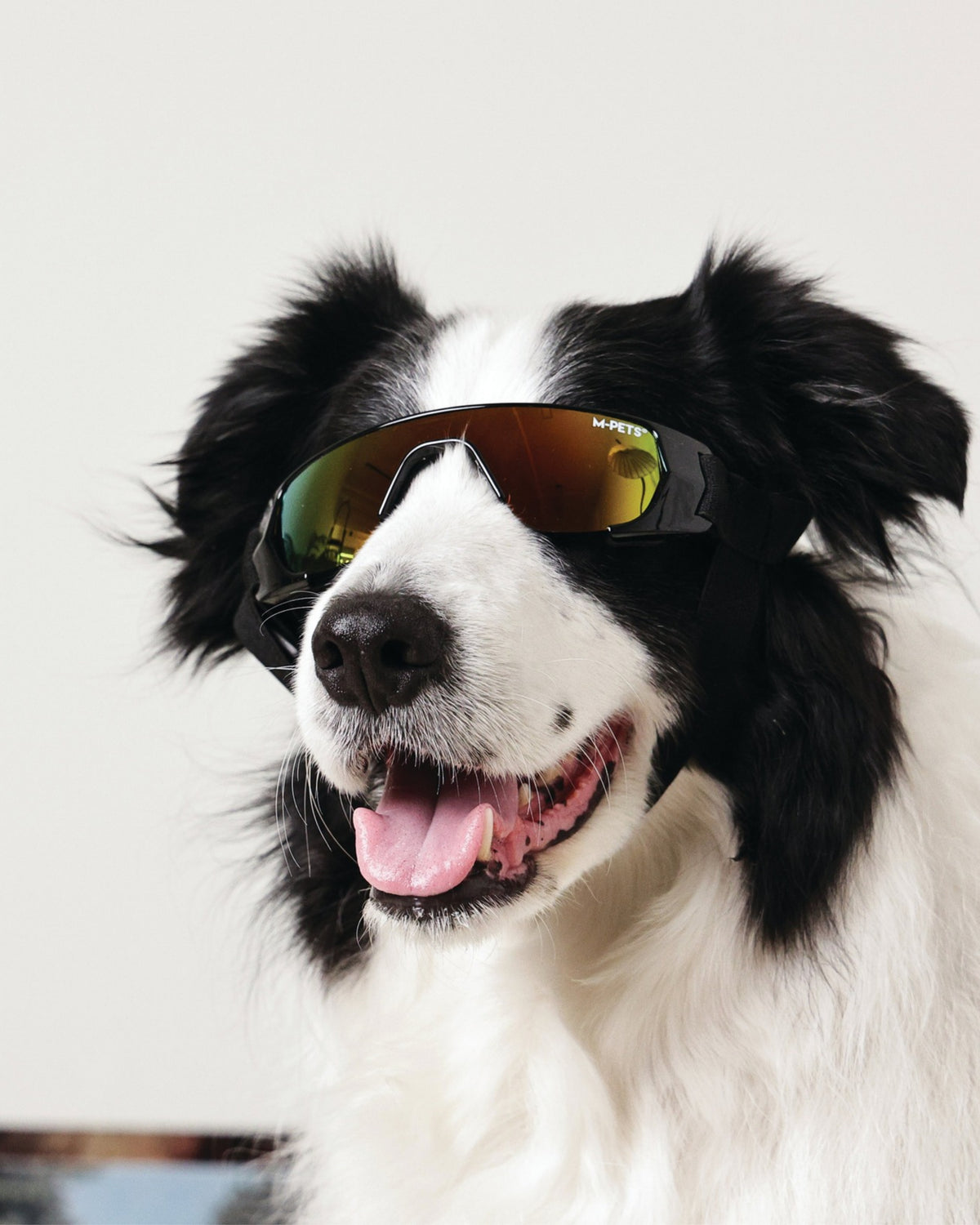 UV Korumalı Köpek Güneş Gözlüğü Siyah M-Pets Sunny Goggles Sunbather