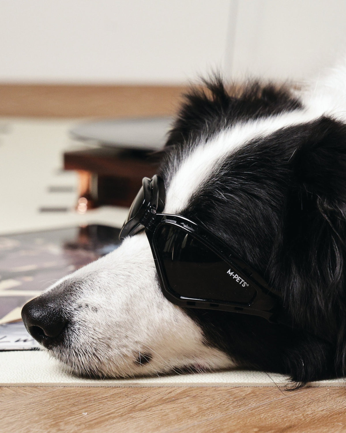 UV Korumalı Köpek Güneş Gözlüğü Siyah Spor M-Pets Sunny Goggles Trailblazer