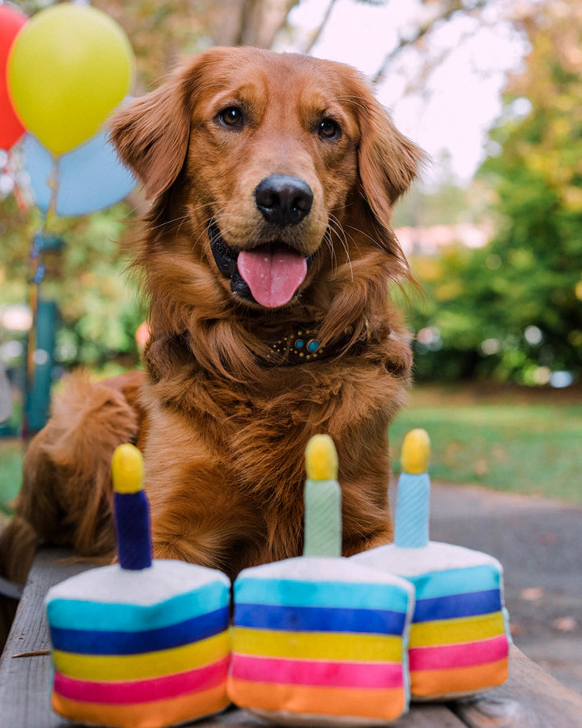 Üç Dilime Ayrılan Mumlu Doğum Günü Pastası Figürlü Hışırtılı Sesli Peluş Köpek Oyuncağı P.L.A.Y. Party Time Bone-appetite Cake