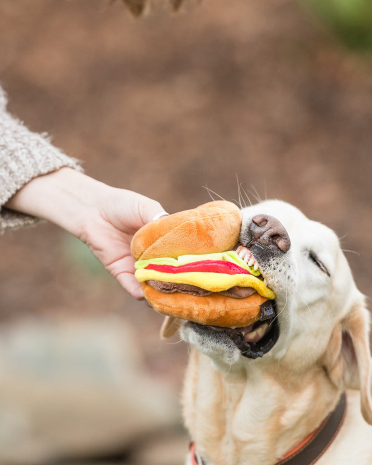 Üç Parçaya Ayrılan Hamburger Figürlü Hışırtılı Sesli Peluş Köpek Oyuncağı P.L.A.Y. American Classic Barky Burger