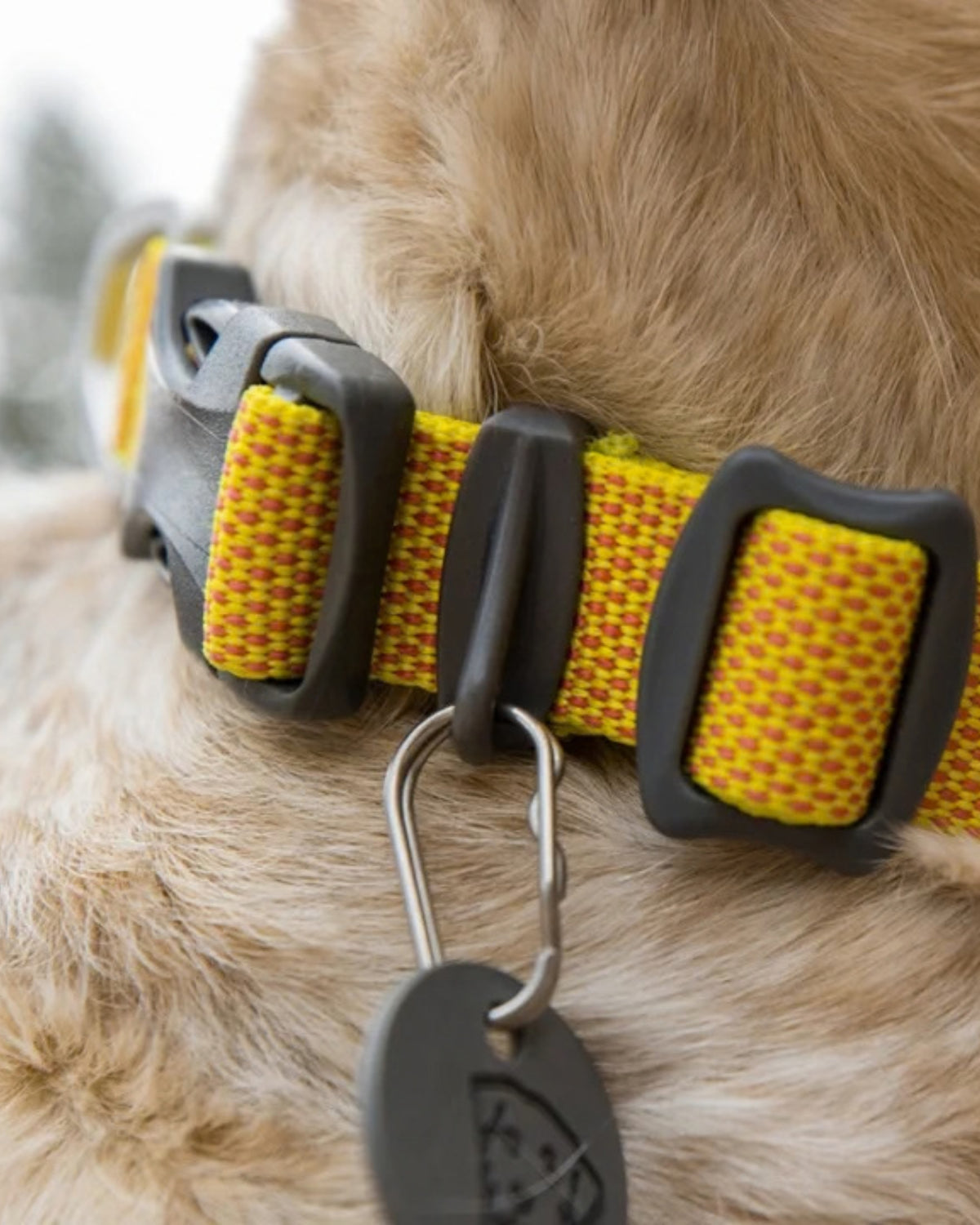 Ultra Hafif Köpek Boyun Tasması Ruffwear Hi&Light