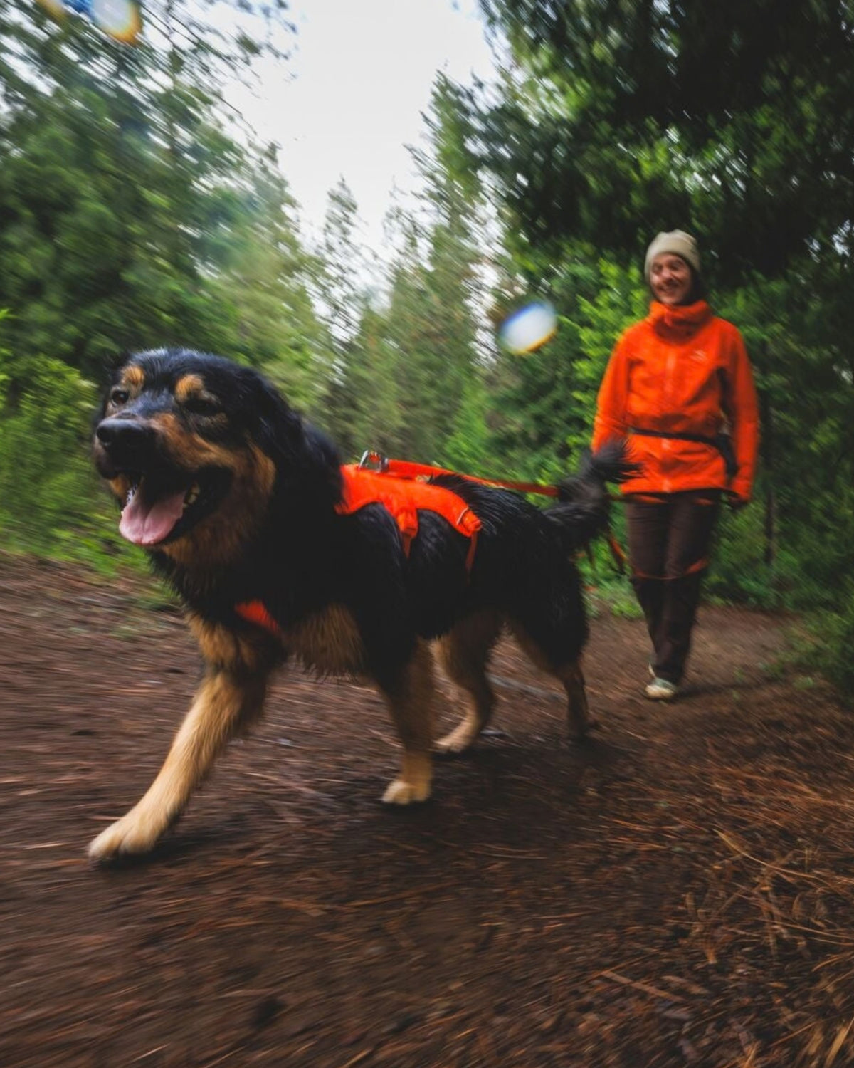 Uzun Eğitim Gezdirme Kayışı Ruffwear Rogue Long Line