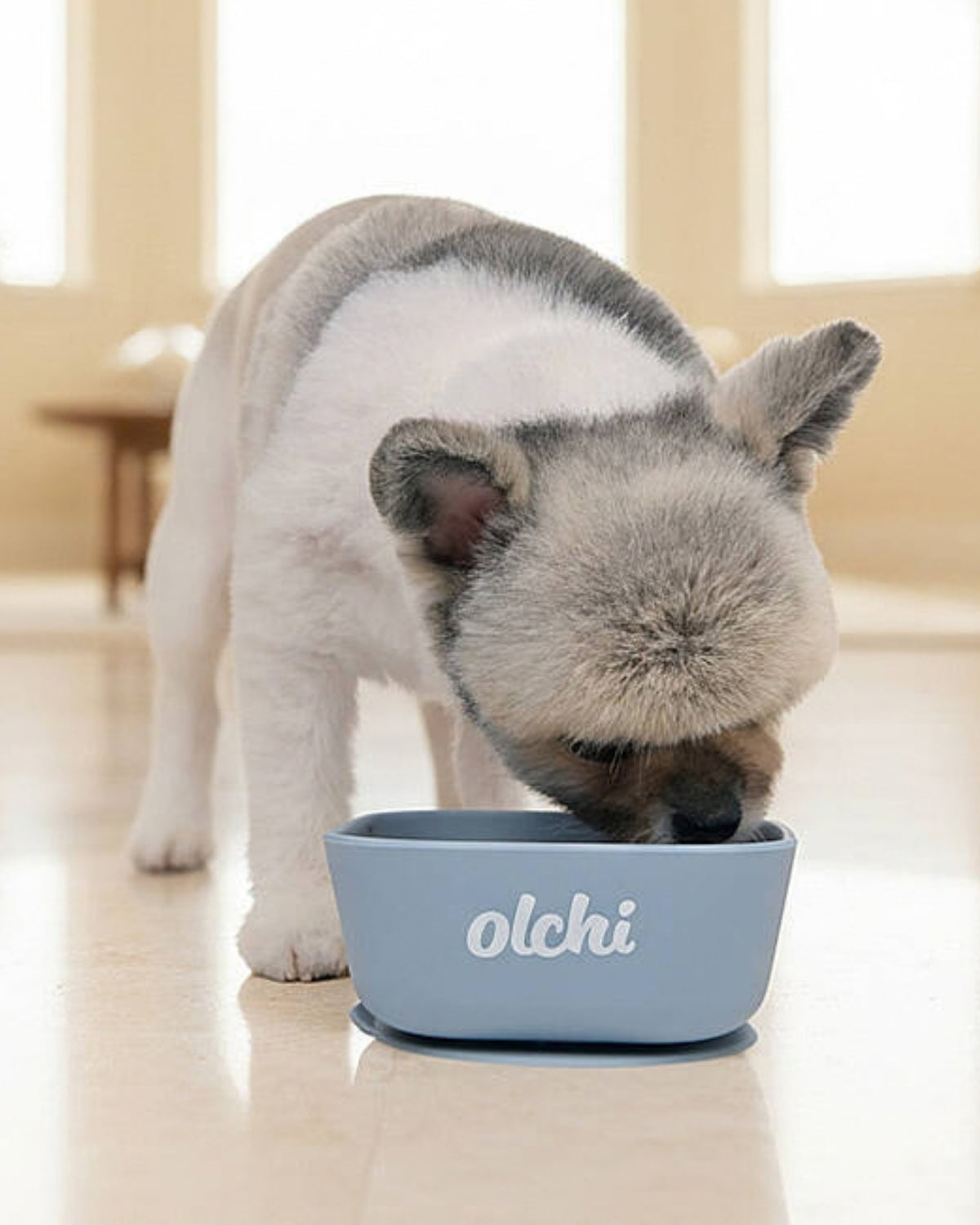 Vakumlu Tabanlı Kaymaz Mavi Silikon Köpek Mama ve Su Kabı Olchi Silicone Bowl