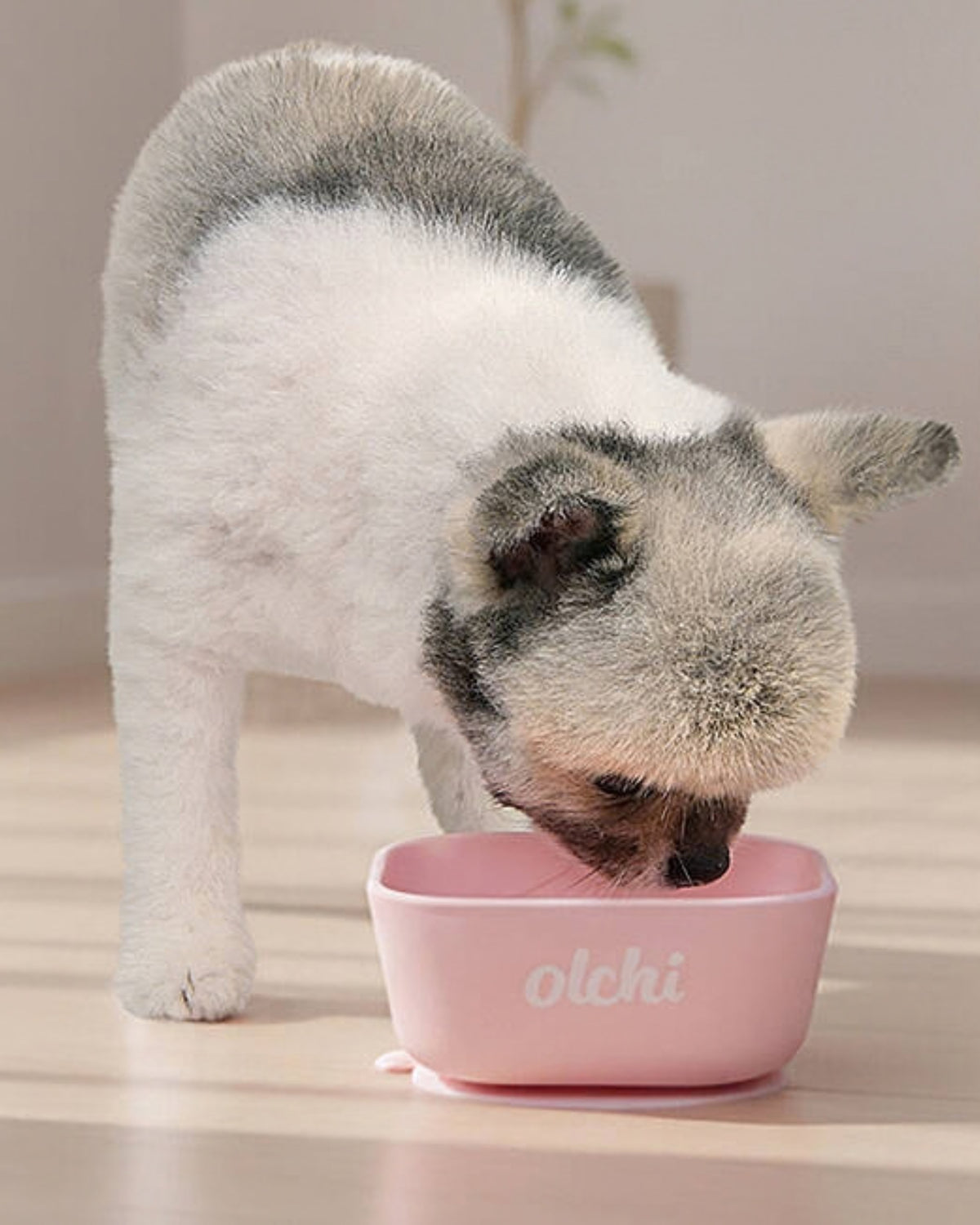 Vakumlu Tabanlı Kaymaz Pembe Silikon Köpek Mama ve Su Kabı Olchi Silicone Bowl