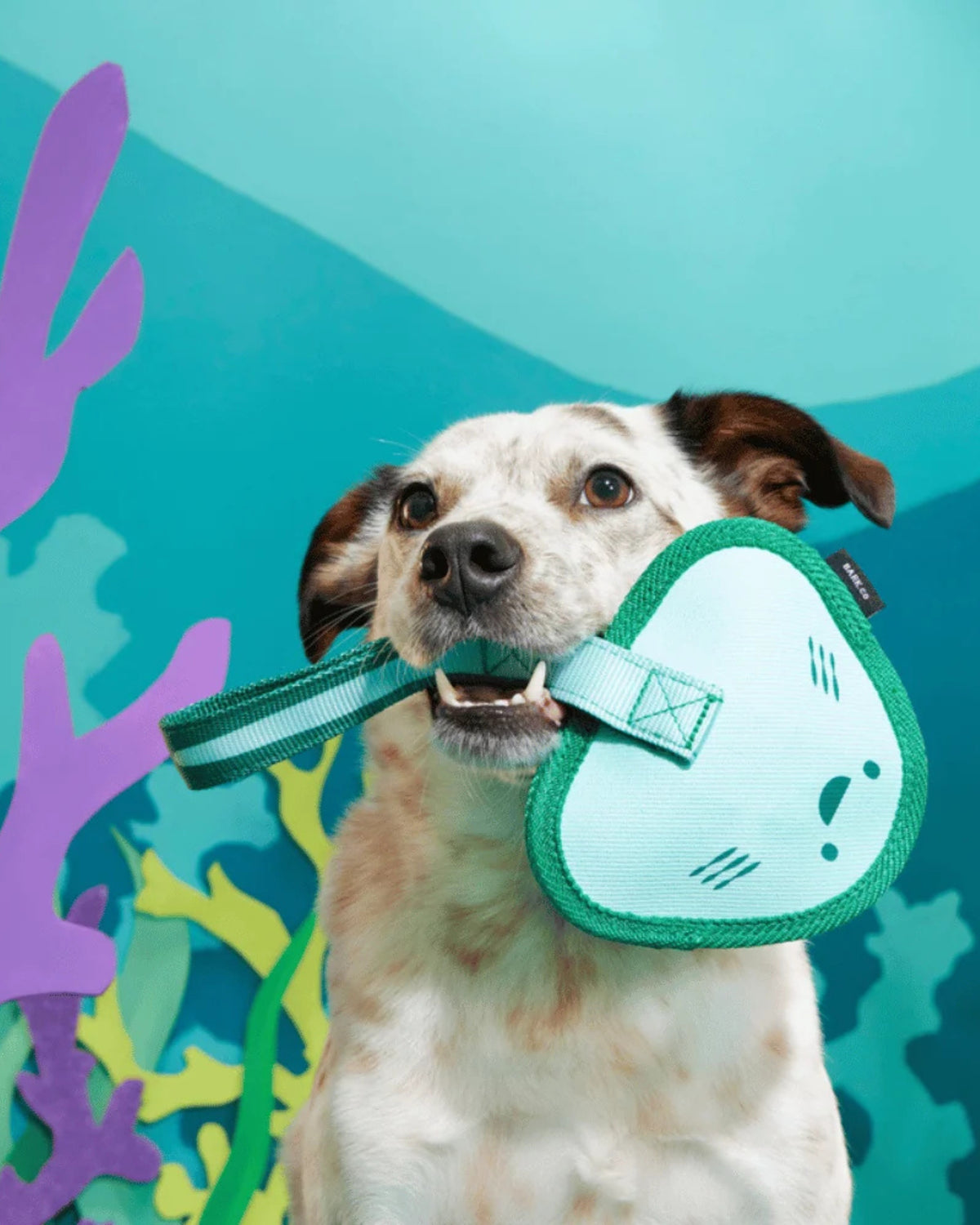 Vatoz Figürlü Çekiştirme Kayışlı Sert Çiğneyici Köpek Oyuncağı BARK Flingray