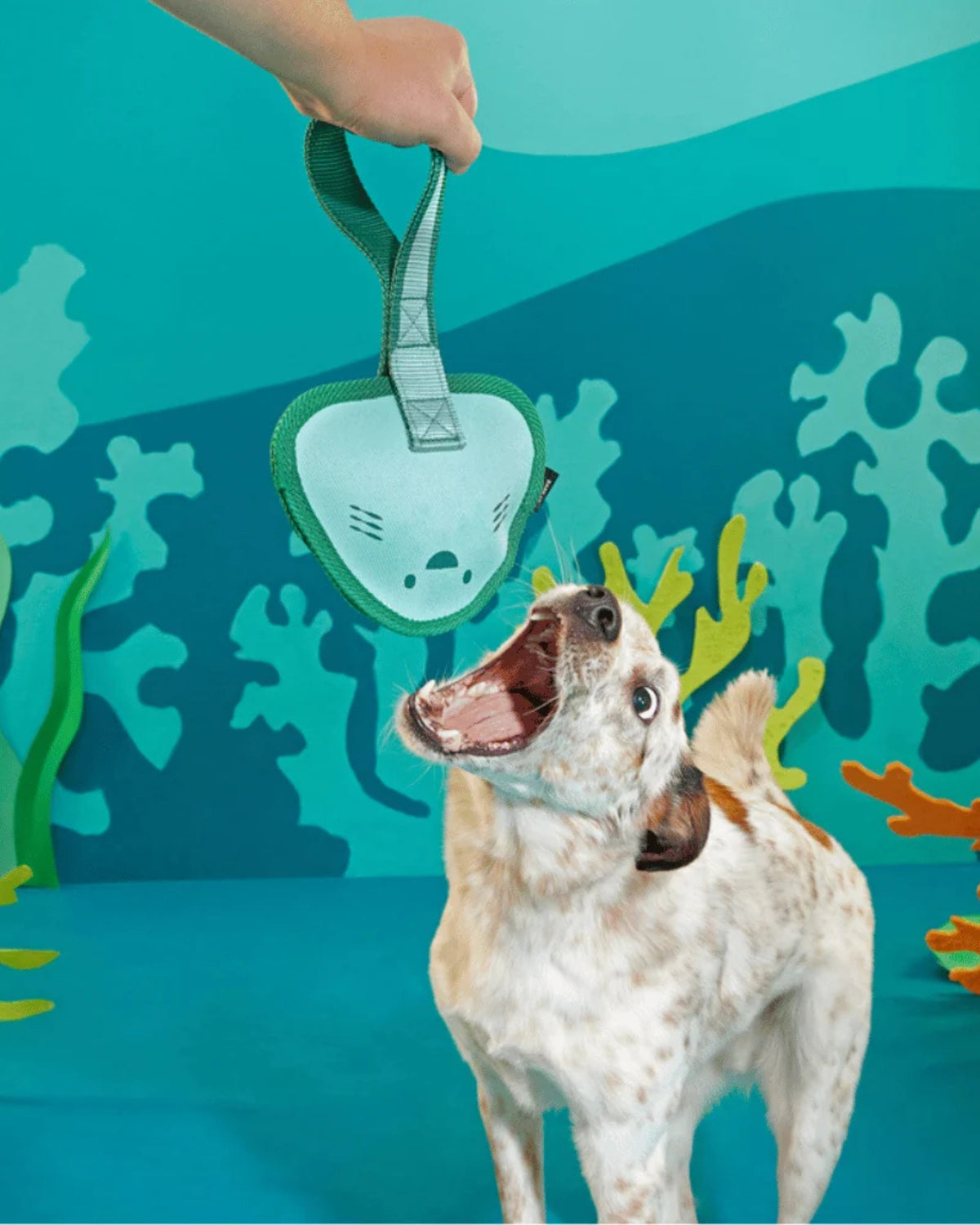 Vatoz Figürlü Çekiştirme Kayışlı Sert Çiğneyici Köpek Oyuncağı BARK Flingray