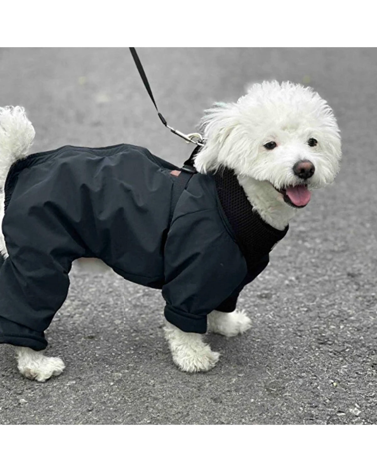 Astarlı Siyah Su Geçirmez Köpek Yağmurluk Tulum Alphadog Coverall Black