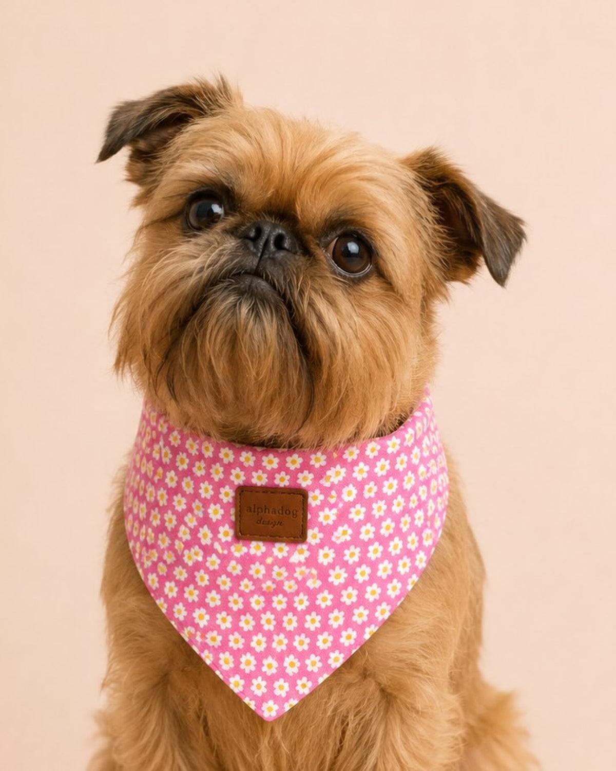 Papatya Desenli Pembe Köpek Bandanası Alphadog