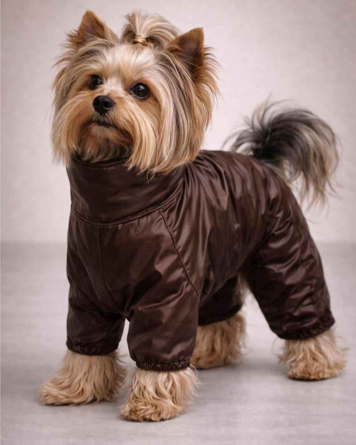 Polar Astarlı Kahverengi Köpek Yağmurluk Tulum Alphadog Coverall Cacao