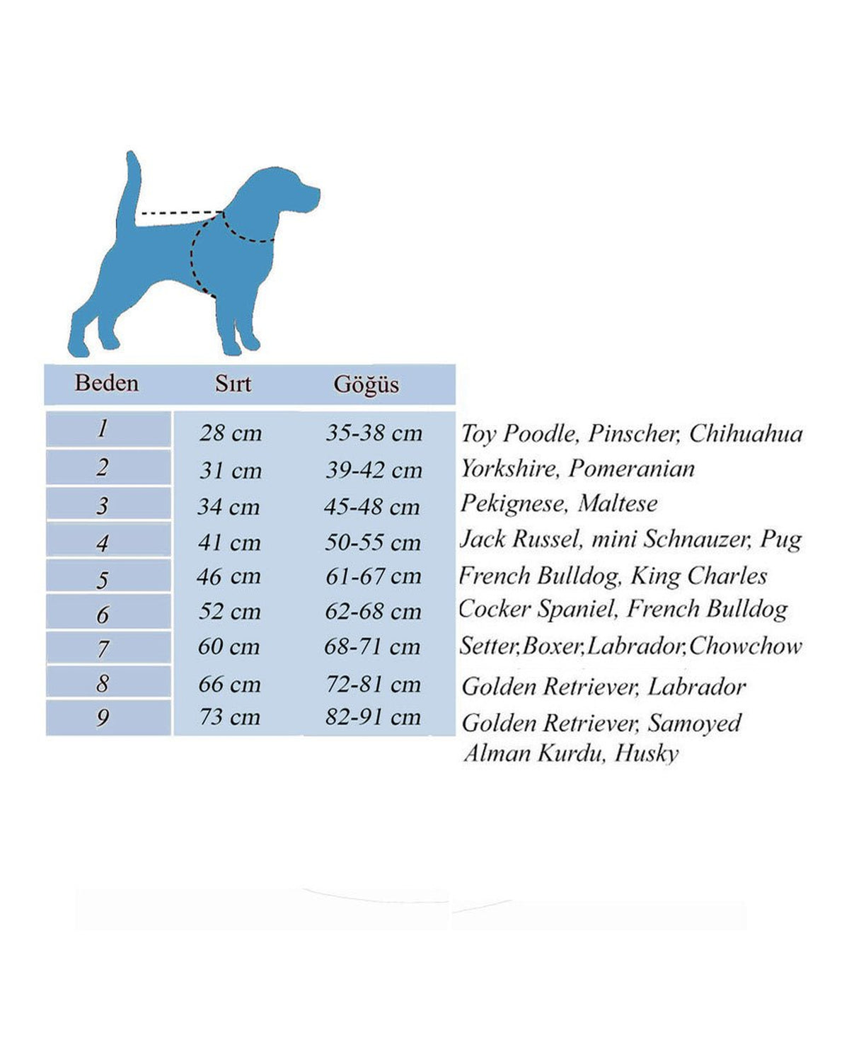 Polar Astarlı Kaktüs Desenli Köpek Yağmurluk Tulum Alphadog Cactus Coverall