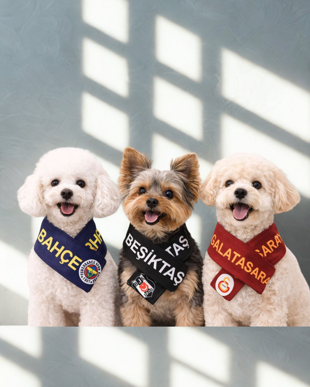 Lacivert Sarı Fenerbahçe Küçük Irk Köpek Atkısı Alphadog