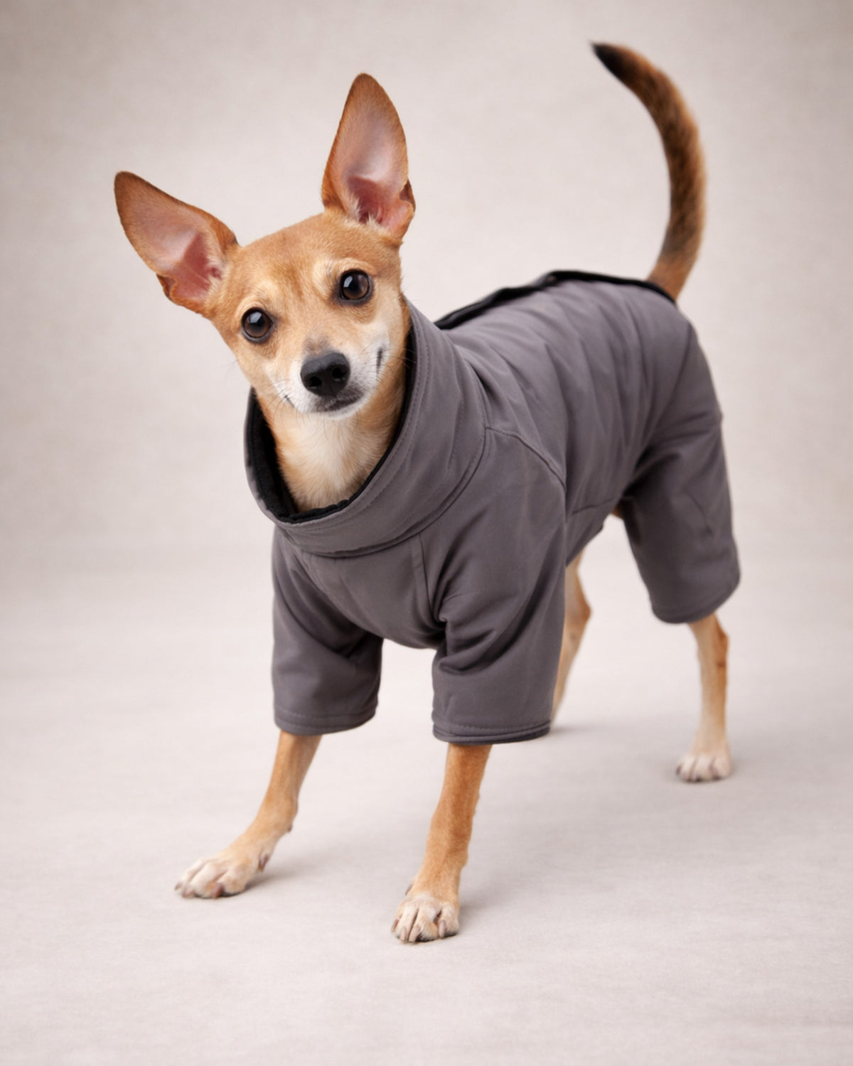 Astarlı Füme Su Geçirmez Köpek Yağmurluk Tulum Alphadog Coverall Fume