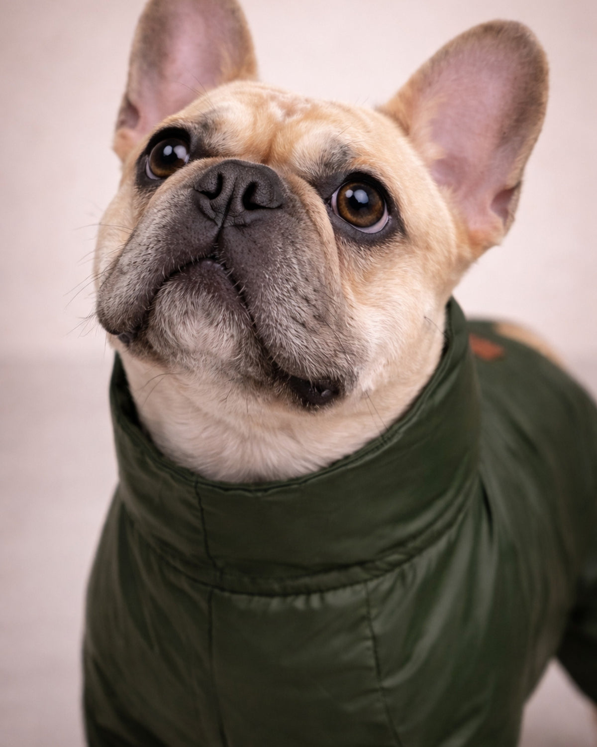 Deri Görünümlü Yeşil 4 Bacaklı Köpek Yağmurluk Tulum Alphadog Coverall Leather