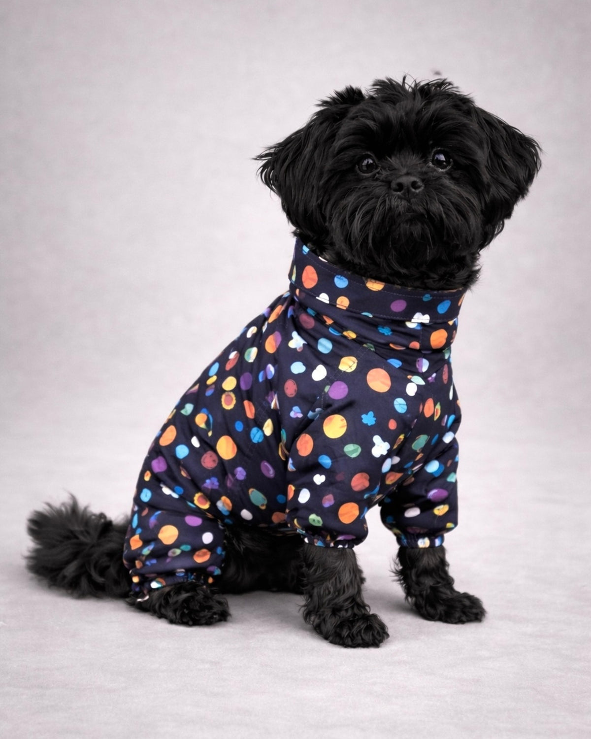 Tek Kat Hafif Gezegen Desenli Köpek Yağmurluk Tulum Alphadog Space Coverall Light