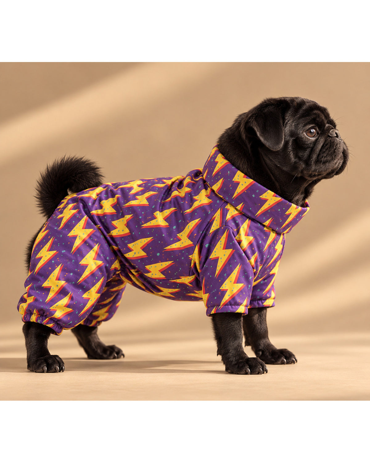 Polar Astarlı Şimşek Desenli Köpek Yağmurluk Tulum Alphadog Thunder Coverall